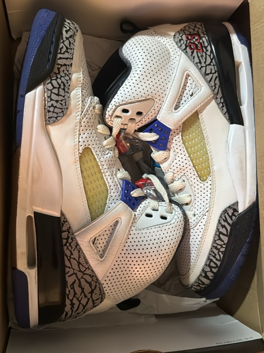 Men’s Jordan Spizike Grape (2010)